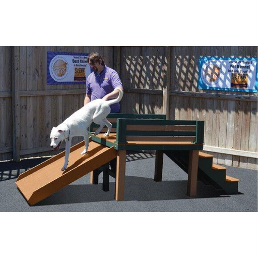 SKU: APP2380  The biggest Top Dog play product we have made! Built for canines of all sizes, including big dogs.  Dogs love to climb up the stairs and go down the slide. Stairs are perfect for recreational use and safe for most pets.  Material: Recycled Plastic Dimensions: 93.5" l x 46" w x 27.75" h Color: Cedar/Evergreen 